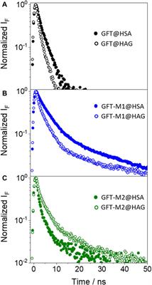 Modulation of the photobehavior of gefitinib and its phenolic metabolites by human transport proteins